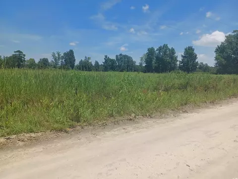 0 Davis Ln, Mullins, SC 29574 photo 3