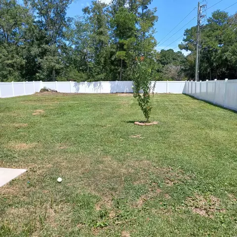 100 Emmeline Ct, Conway, SC 29527 photo 24
