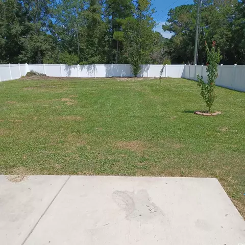 100 Emmeline Ct, Conway, SC 29527 photo 25