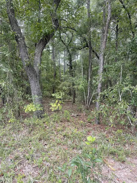 Tr 2 Hampton Rd., Conway, SC 29527