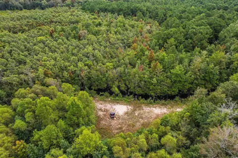 tbd Highway 308, Galivants Ferry, SC 29544