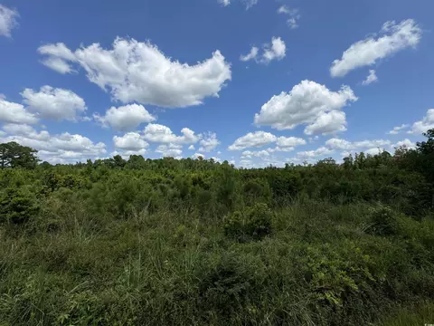 tbd Graham St, Loris, SC 29569 photo 6