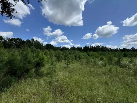 tbd Graham St, Loris, SC 29569 photo 12
