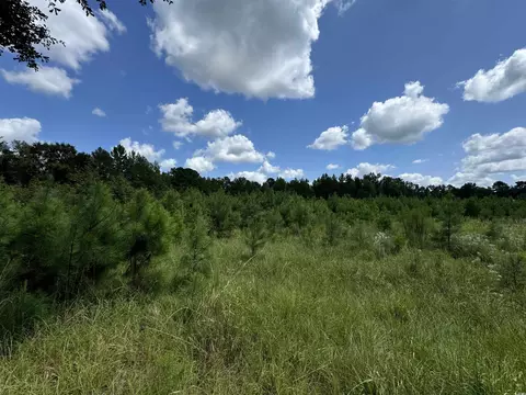 tbd Graham St, Loris, SC 29569 photo 11