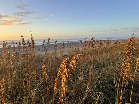 715 Pine Dr N #E, Surfside Beach, SC 29575 photo 36