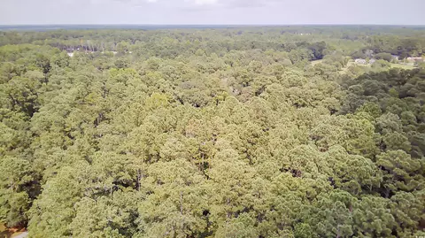 tbd Lendrim Lake Dr, Conway, SC 29526