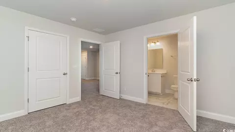 357 Glacier Way, Conway, SC 29526 photo 25