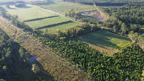 1745 Williams Hill Rd, Hemingway, SC 29554