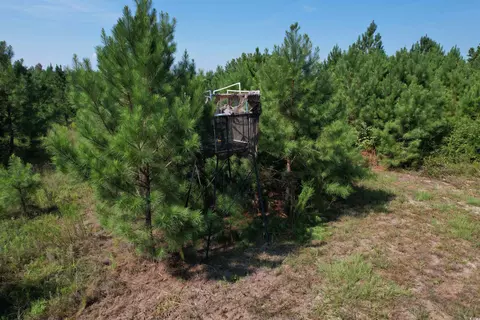 55 43acres-tbd Jeffords Mill Rd, Darlington, SC 29532