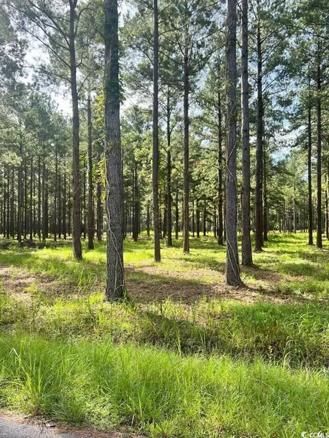 tbd Ashley Cir, Conway, SC 29526