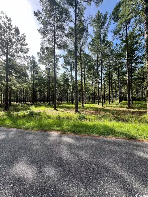tbd Ashley Cir, Conway, SC 29526 photo 7