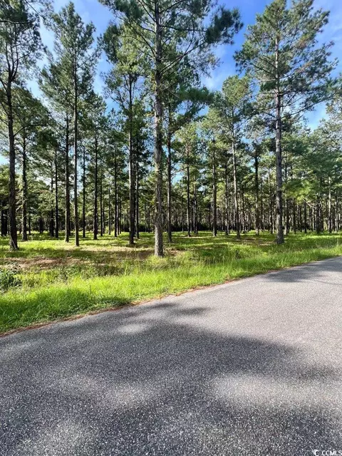 tbd Ashley Cir, Conway, SC 29526 photo 6