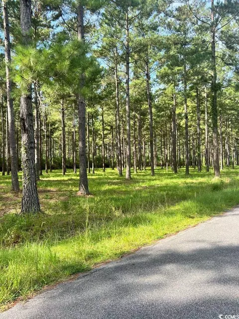 tbd Ashley Cir, Conway, SC 29526 photo 2
