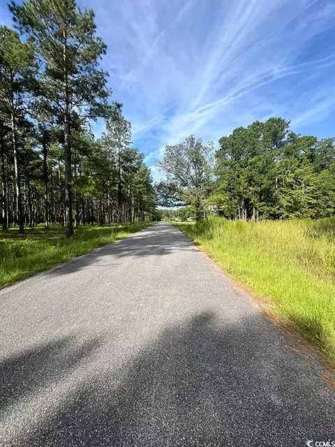 tbd Ashley Cir, Conway, SC 29526 photo 4