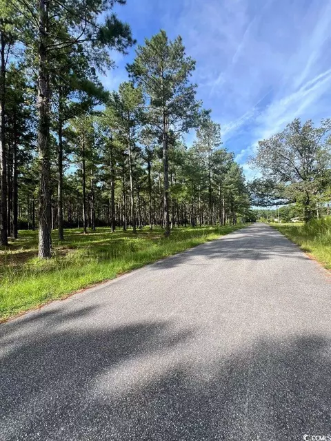 tbd Ashley Cir, Conway, SC 29526 photo 5