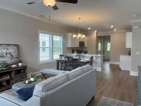 3131 Tiger Tail Rd, Conway, SC 29526 photo 5