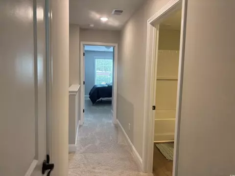 3131 Tiger Tail Rd, Conway, SC 29526 photo 23