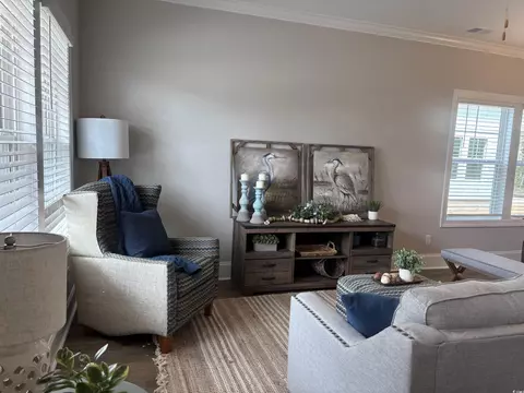 3131 Tiger Tail Rd, Conway, SC 29526 photo 6