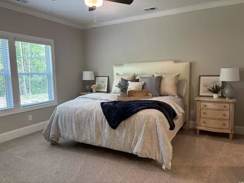 3131 Tiger Tail Rd, Conway, SC 29526 photo 15