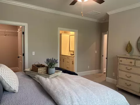3131 Tiger Tail Rd, Conway, SC 29526 photo 17