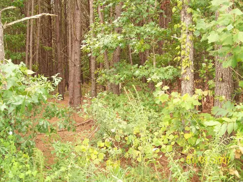lot2 Riverbend Rd, Loris, SC 29569