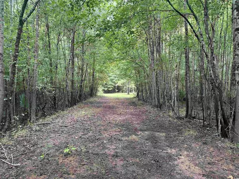 tbd Highway 9, Gresham, SC 29546 photo 11