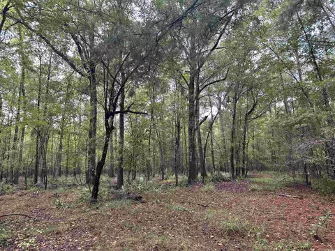 tbd Highway 9, Gresham, SC 29546 photo 12