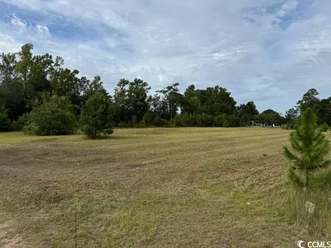 lot2 Sand Plant Rd, Nichols, SC 29581