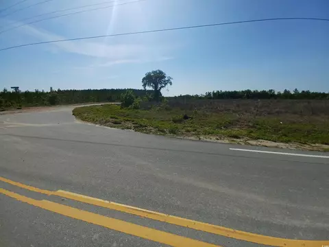 lot3 Mw Stroud Rd, Nichols, SC 29581
