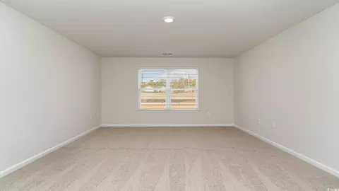 832 Buttonwood Dr, Conway, SC 29527 photo 21