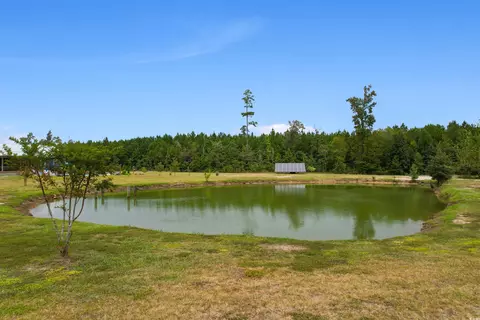 2901 Gause Rd, Loris, SC 29569 photo 35
