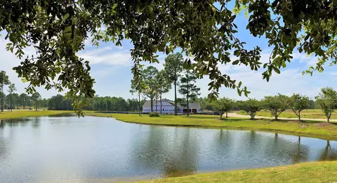 1224 Needle Grass Loop, Myrtle Beach, SC 29579 photo 10