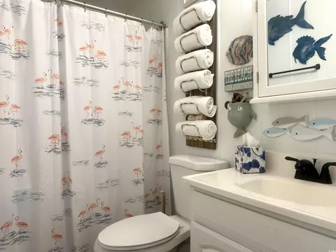 1679 Ibis Dr, Surfside Beach, SC 29575 photo 12