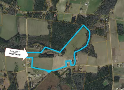 tbd Hickory Holt Rd, Galivants Ferry, SC 29544