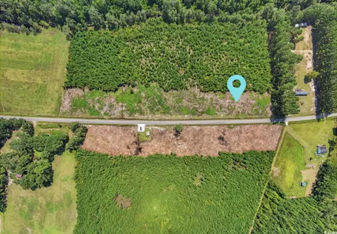 lot2 Black Creek Rd, Nichols, SC 29581