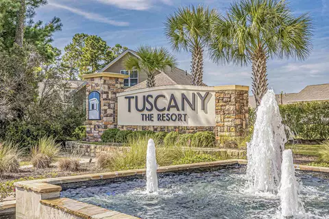 376 Firenze Loop, Myrtle Beach, SC 29579 photo 36