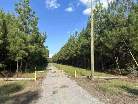 tbd Coleman Rd, Greeleyville, SC 29056