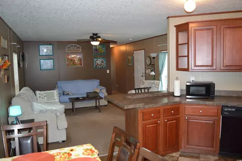 4636 Highway 554, Loris, SC 29569 photo 4