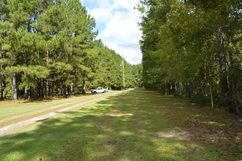 4636 Highway 554, Loris, SC 29569 photo 31