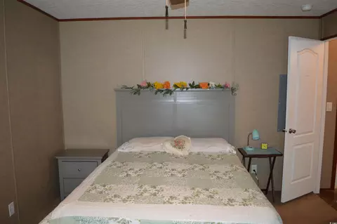 4636 Highway 554, Loris, SC 29569 photo 22