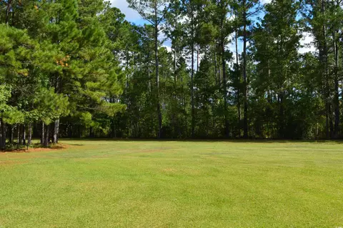 4636 Highway 554, Loris, SC 29569 photo 30