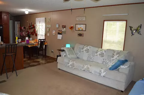 4636 Highway 554, Loris, SC 29569 photo 9