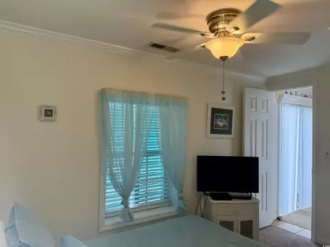 1782 Gannet, Surfside Beach, SC 29575 photo 10