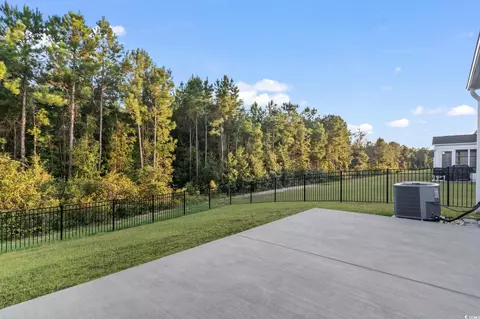 229 Cypress Tree Loop, Longs, SC 29568 photo 29