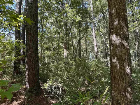 tbd Hanna Loop Rd, Hemingway, SC 29554 photo 7