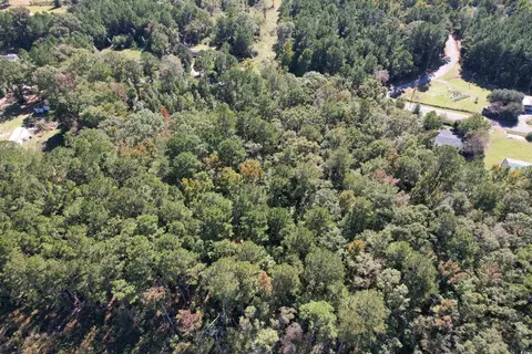 tbd Hanna Loop Rd, Hemingway, SC 29554 photo 4