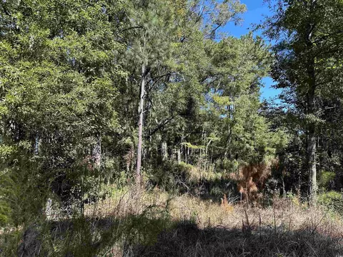 tbd Hanna Loop Rd, Hemingway, SC 29554