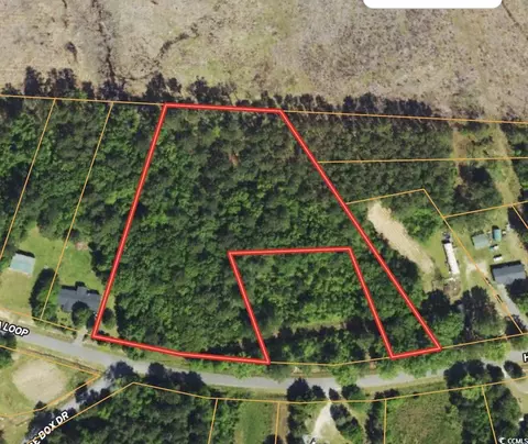 tbd Hanna Loop Rd, Hemingway, SC 29554 photo 9