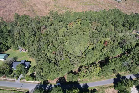 tbd Hanna Loop Rd, Hemingway, SC 29554 photo 3