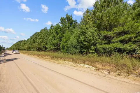 978 Harper Rd, Conway, SC 29527 photo 27